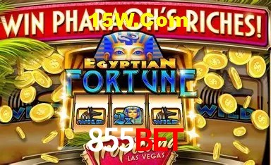 Estatísticas do Jogo 855Bet