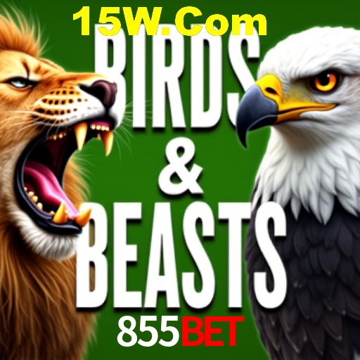 Apostas Esportivas na 855Bet: Um Guia Completo